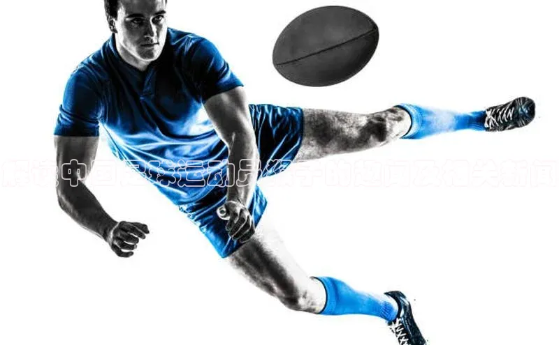 摩登7平台下载百度翻译App解读中国足球运动员猴子的趣闻及相关新闻