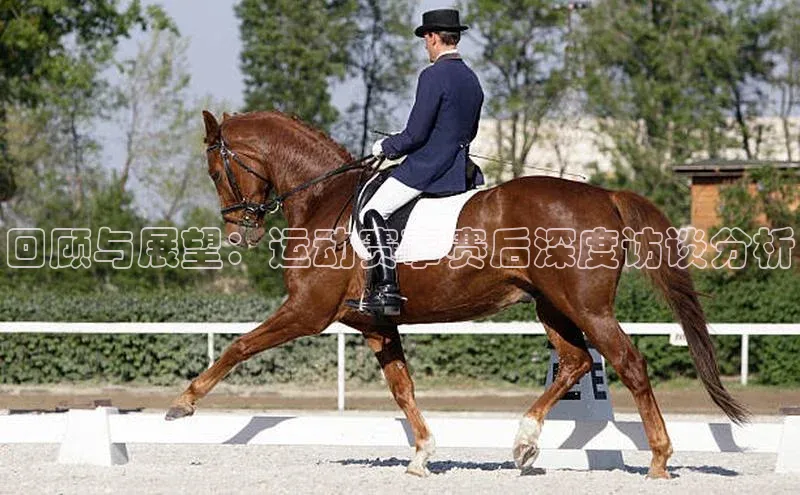 回顾与展望：运动赛事赛后深度访谈分析