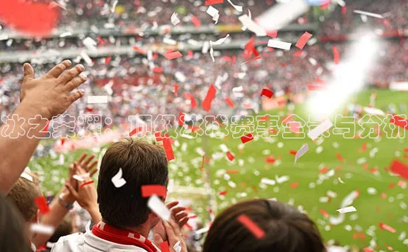 冰之荣耀：顶级冰球赛事全景与分析