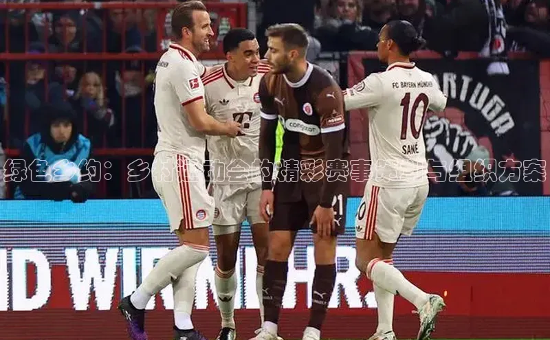 绿色乡约：乡村运动会的精彩赛事策划与组织方案