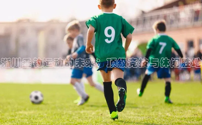 淅川垂钓运动的未来：顶级竞技与休闲胜地