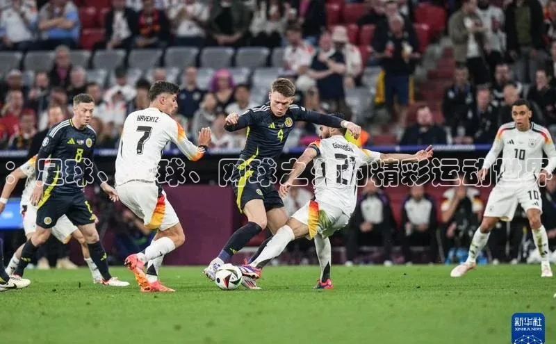 ：足球、篮球、网球之外的精彩运动世界