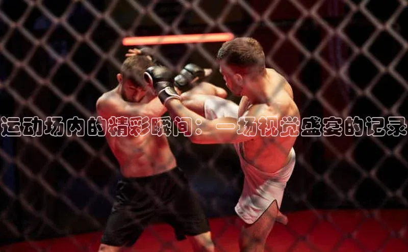 运动场内的精彩瞬间：一场视觉盛宴的记录