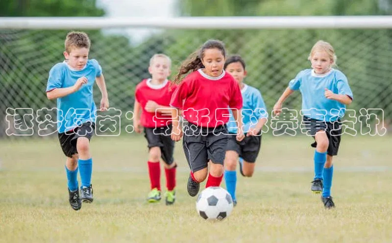 摩登7会员登录入口