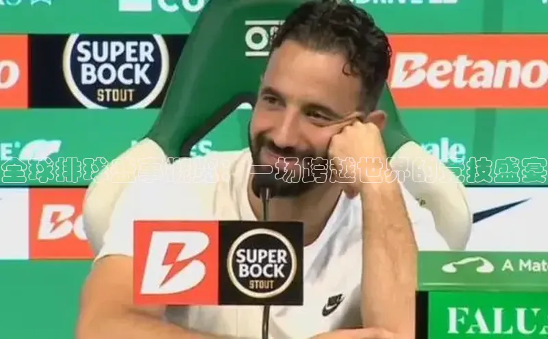 全球排球盛事概览：一场跨越世界的竞技盛宴