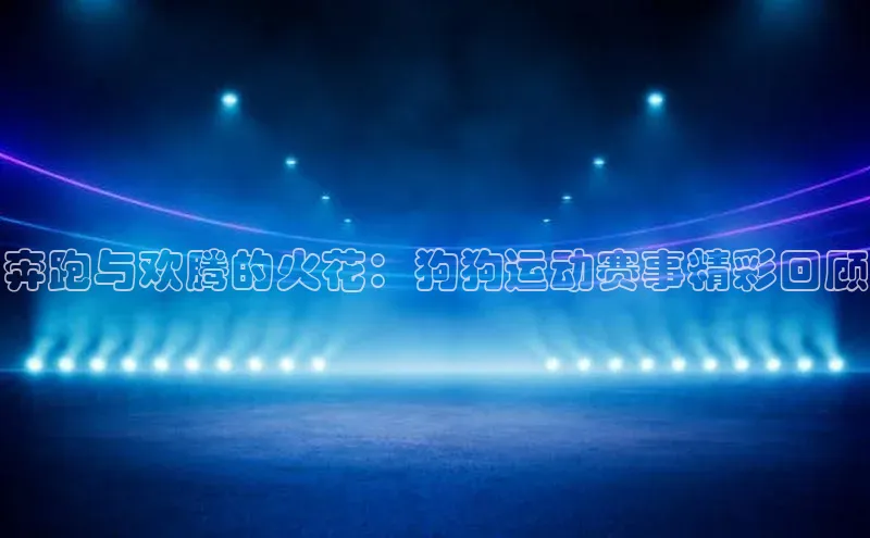 奔跑与欢腾的火花：狗狗运动赛事精彩回顾